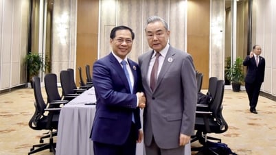 Phó Thủ tướng, Bộ trưởng Bùi Thanh Sơn tiếp Bộ trưởng Ngoại giao Trung Quốc và Algeria