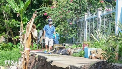 Đề nghị Hải Phòng và 28 tỉnh, thành phố bảo đảm an toàn đê điều trong mùa mưa lũ