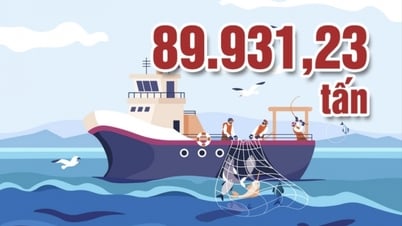 89.931,23 tấn - là tổng sản lượng thủy sản toàn tỉnh trong 6 tháng đầu năm nay