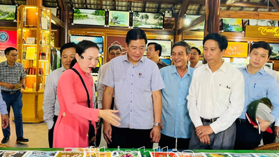 Phó Chủ tịch UBND tỉnh Nguyễn Long Biên khảo sát một số điểm du lịch