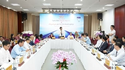 Cố tình đăng ký nhãn hiệu trùng hoặc gần giống thương hiệu thật, sau đó kiện ngược