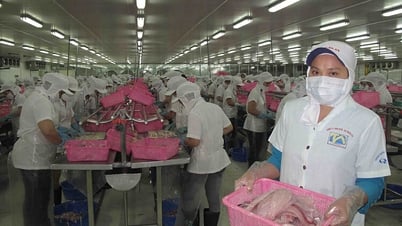 Nâng cao năng lực cạnh tranh của ngành hàng cá tra