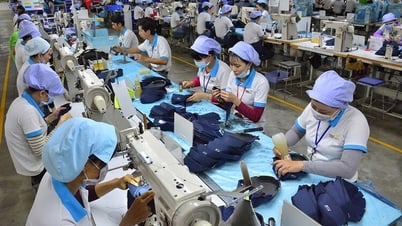 Chi bộ đồng hành, doanh nghiệp vững bước