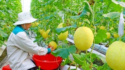 Hướng đến nền nông nghiệp thông minh, hiện đại