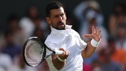 Lịch thi đấu bán kết Wimbledon 2025: Sinner đối đầu Djokovic