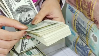 Giá ngoại tệ ngày 11/7/2025: USD tăng giá trở lại nhờ chính sách thuế của Tổng thống Mỹ Donald Trump