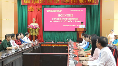 Đảng ủy Ủy ban MTTQ Việt Nam tỉnh công bố quyết định về công tác tổ chức, cán bộ