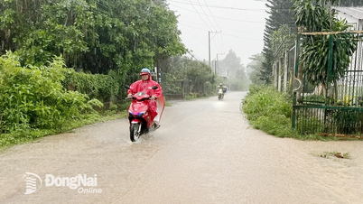 Thời tiết Đồng Nai từ 12 đến 17-7: Ngày nắng gián đoạn, chiều tối và đêm có mưa