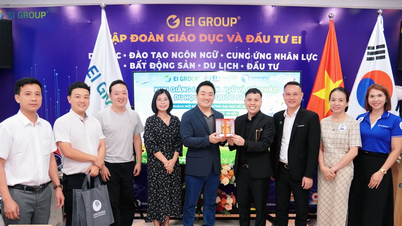 EI Group khai giảng lớp tiếng Hàn và giao lưu cùng Đại học Nữ sinh Sungshin