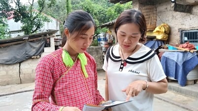 Sức khoẻ mẹ, tương lai con