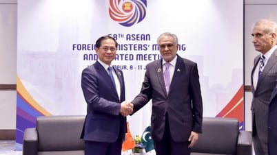 Việt Nam-Pakistan tăng cường hợp tác song phương