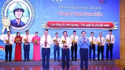 Vinh danh 220 đảng viên công nhân lao động tiêu biểu ngành Than