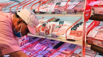 Giá thịt heo hôm nay 11/7: Duy trì ổn định dù giá...