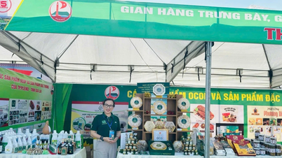 Nâng tầm sản phẩm yến sào Gia Lai
