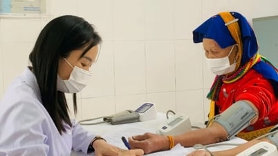 Đầu tư cho phát triển bền vững