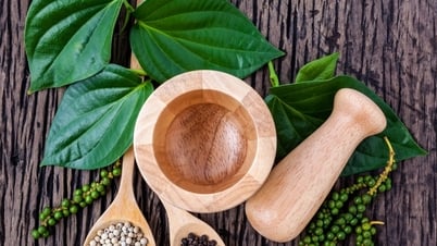 Tin tức, dự báo giá tiêu ngày mai 12/7/2025: Giằng co giữa kỳ vọng tăng và áp lực chốt lời