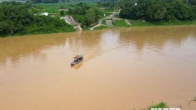 'Đi quen rồi, mặc áo phao vướng lắm': Người dân Nghệ An phớt lờ nguy hiểm, đi đò không áo phao mùa lũ