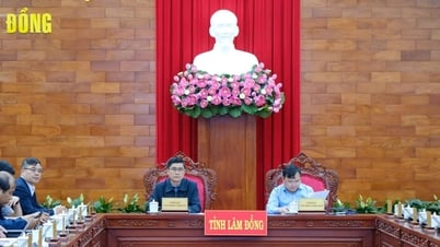 Tập huấn sử dụng Hệ thống tiếp nhận và xử lý thông tin về phát triển KH-CN &CĐS
