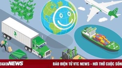 Logistics xanh - lợi thế cạnh tranh để doanh nghiệp Việt bứt tốc