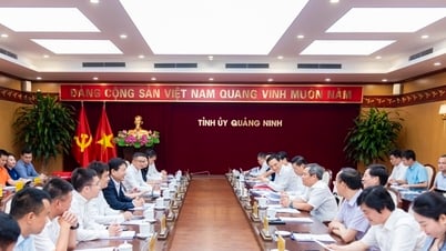 FPT và Quảng Ninh 'bắt tay' kiến tạo mô hình chính quyền số kiểu mẫu