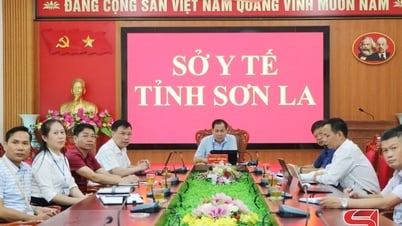 Tăng cường công tác phòng, chống sốt xuất huyết và dịch bệnh truyền nhiễm năm 2025.