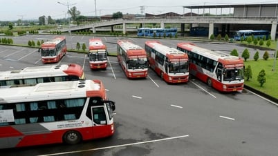 Hồ sơ xin cấp phù hiệu, giấy phép vận tải quá lớn sau sáp nhập, TP.HCM đề xuất chuyển đổi số