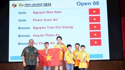 Việt Nam thắng lớn ở giải cờ vua các nhóm tuổi Đông Nam Á