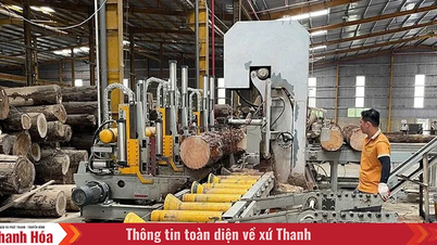 Quan tâm đầu tư cơ sở hạ tầng thúc đẩy khu vực miền núi phát triển