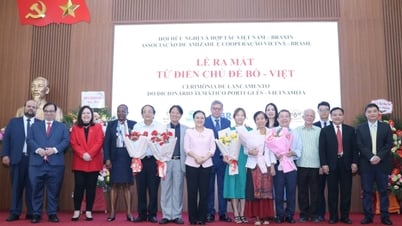 Hội hữu nghị và hợp tác Việt Nam - Brazil: Dấu ấn sáng tạo trong giai đoạn 2016-2025