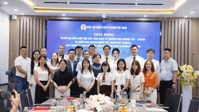 VEF Global kết nối công nghệ y tế Trung Quốc cho khối bệnh viện tư nhân
