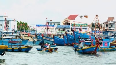 Cảng cá Phước Hội - trụ cột của vùng biển phía Đông Nam