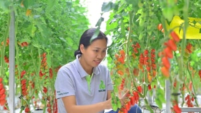 Để đạt mục tiêu tăng trưởng ngành nông nghiệp
