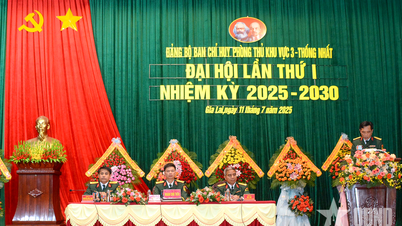 Đảng bộ Ban chỉ huy Phòng thủ khu vực 3 - Thống Nhất: Phấn đấu 100% xã, phường đạt vững mạnh về quốc phòng