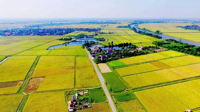 Chuyển đất nông nghiệp sang đất ở: Hoảng hốt tiền sử dụng đất cao đột biến