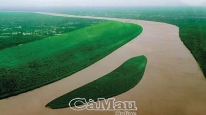 Chuyện tìm nước