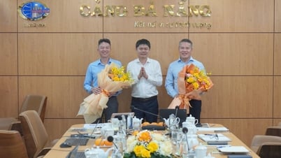 Les dirigeants des compagnies maritimes nationales du Vietnam ont visité et travaillé au port de Da Nang