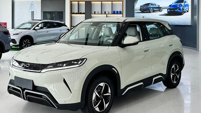 BYD Atto 2 giá 669 triệu tại Việt Nam - xe xịn, nhưng sẽ "ế"
