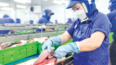 Tận dụng thời điểm vàng, đẩy mạnh xuất khẩu vào thị trường Nhật Bản