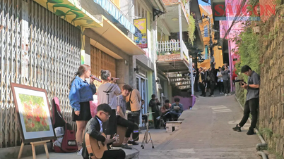 Nguy cơ Đà Lạt mất danh hiệu Thành phố sáng tạo trong lĩnh vực âm nhạc của UNESCO