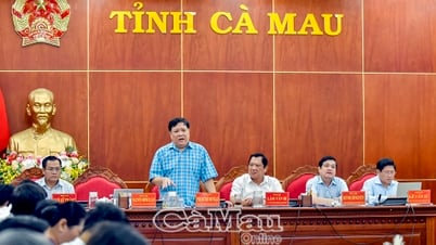 Cà Mau quyết liệt tháo gỡ điểm nghẽn, thúc đẩy giải ngân đầu tư công