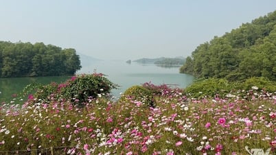 Đến đảo Hoa, thả hồn vào bình yên