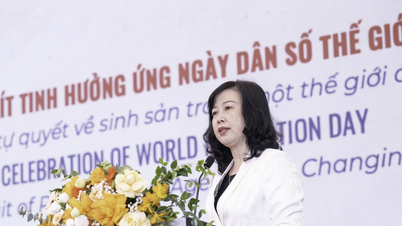 "Việt Nam đã đạt được nhiều kết quả quan trọng trong công tác dân số"