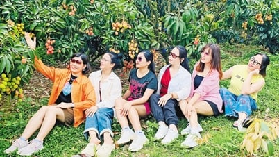정원 주택은 방문객을 끌어들입니다