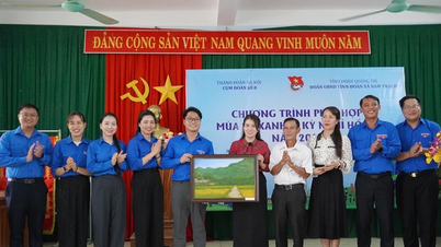 Chiến dịch Mùa hè xanh và Kỳ nghỉ hồng tại xã Nam Trạch