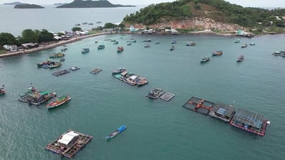 Phát triển nuôi biển bền vững