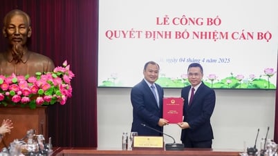 Bộ Văn hóa, Thể thao và Du lịch công bố và trao các quyết định về công tác cán bộ