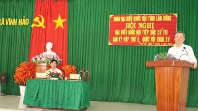 Cử tri xã Vĩnh Hảo kiến nghị nhiều vấn đề về môi trường