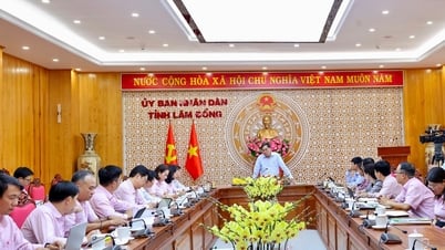 Phó Chủ tịch UBND tỉnh Lâm Đồng Võ Ngọc Hiệp chủ trì kiện toàn hoạt động NHCSXH sau sáp nhập