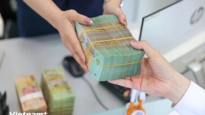 Lãi suất ngân hàng ngày 11/7: Nên gửi tiền ở đâu để hưởng lãi tốt?