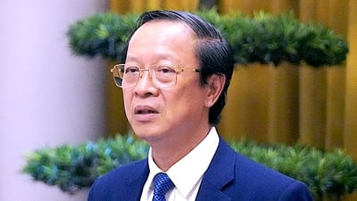 Thứ trưởng Bộ Giáo dục và Đào tạo: Dự kiến xếp lại bảng lương một số chức danh nhà giáo